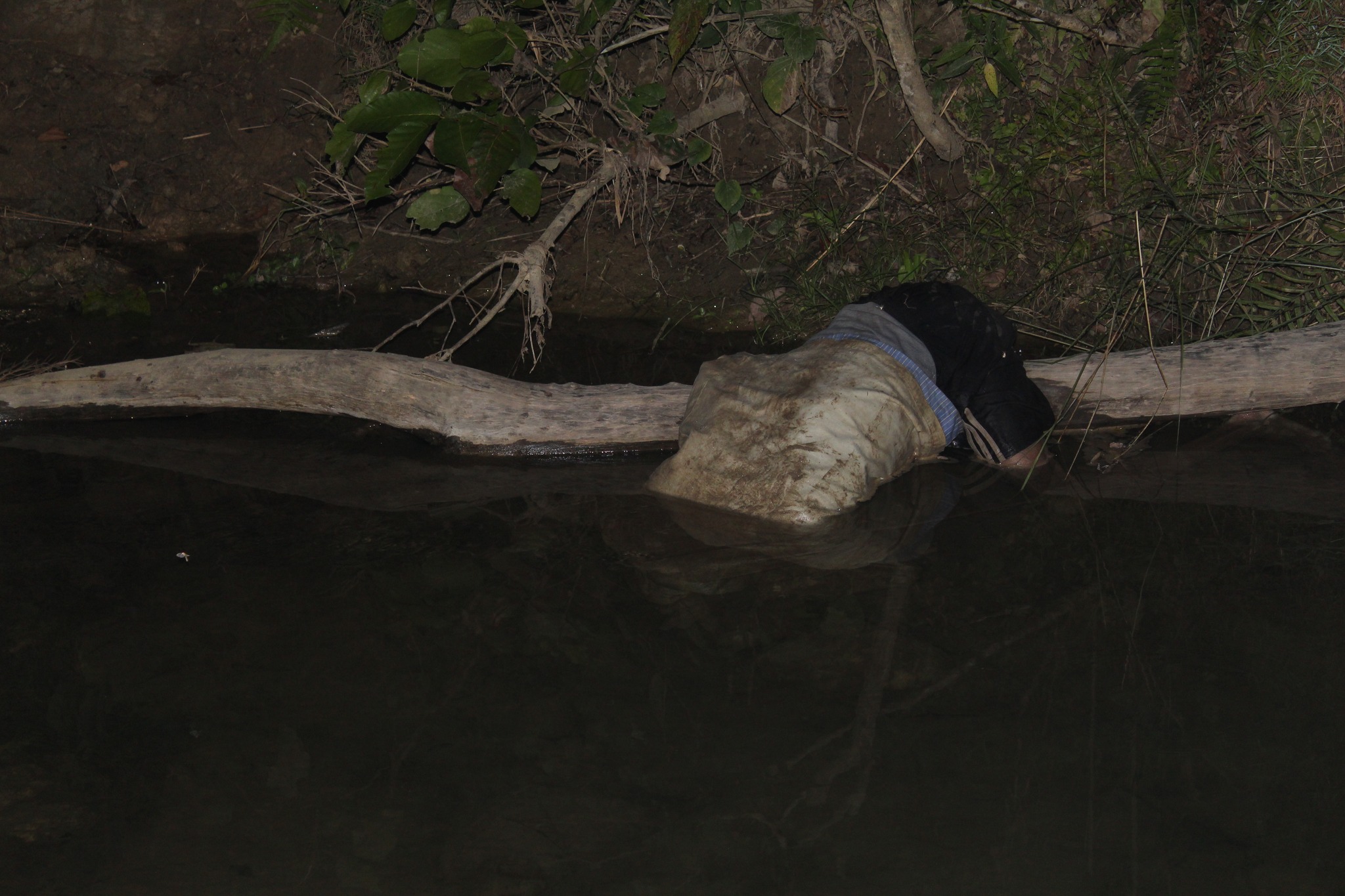 कन्चनपुरको समैजी सामुदायिक वनभित्र पुरुषको शब पानीमा डुबेको अबस्थामा फेला